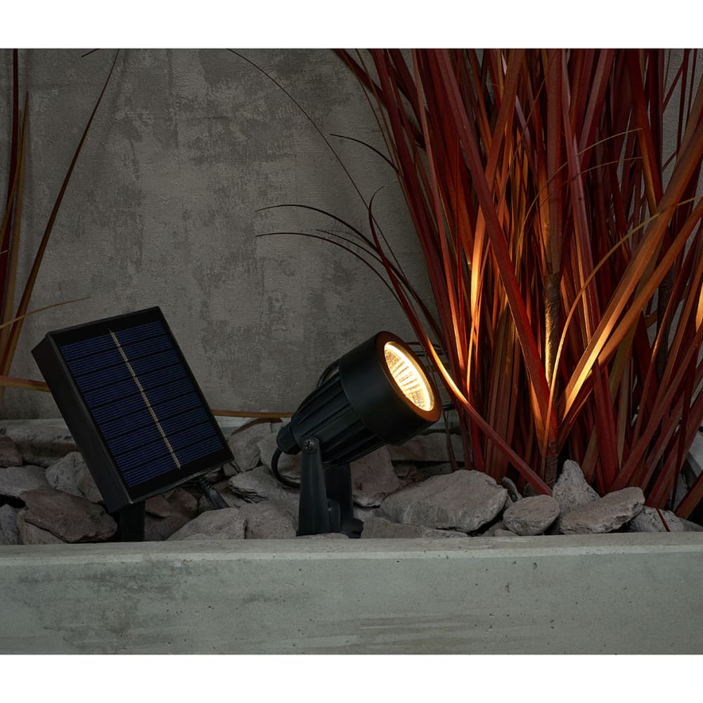 Forum Zink Maltby 2W LED Solar Ground Spike Garden Light Kit - IP65 - 4000K/RGB - Black - Pack of 4