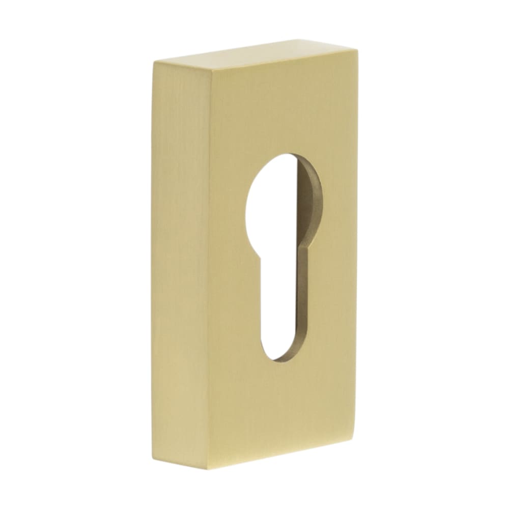 Rectangular Escutcheon CRES by Frelan Rectangular Escutcheon - 65 x 35mm - Euro - Satin Brass ...