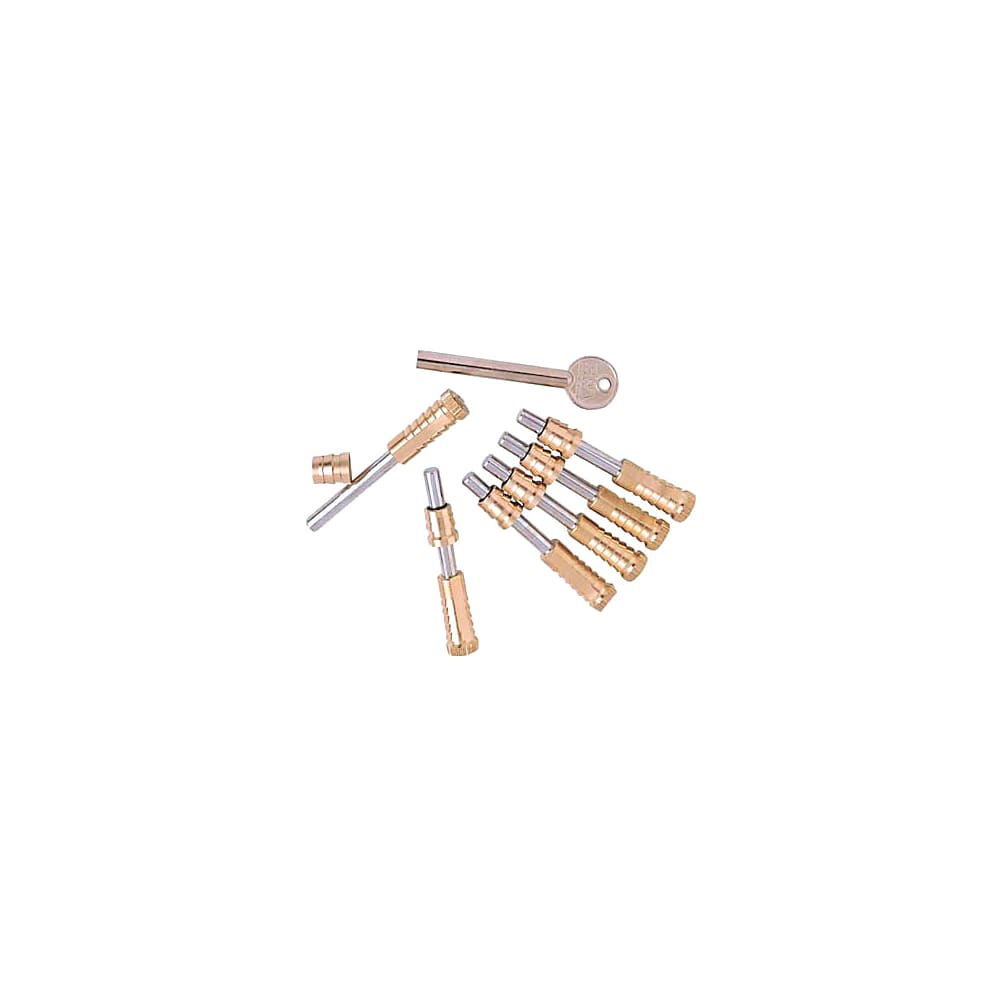 ERA Vertical Sliding Sash Screw - Satin Brass - Pack of 6 with 1 Key