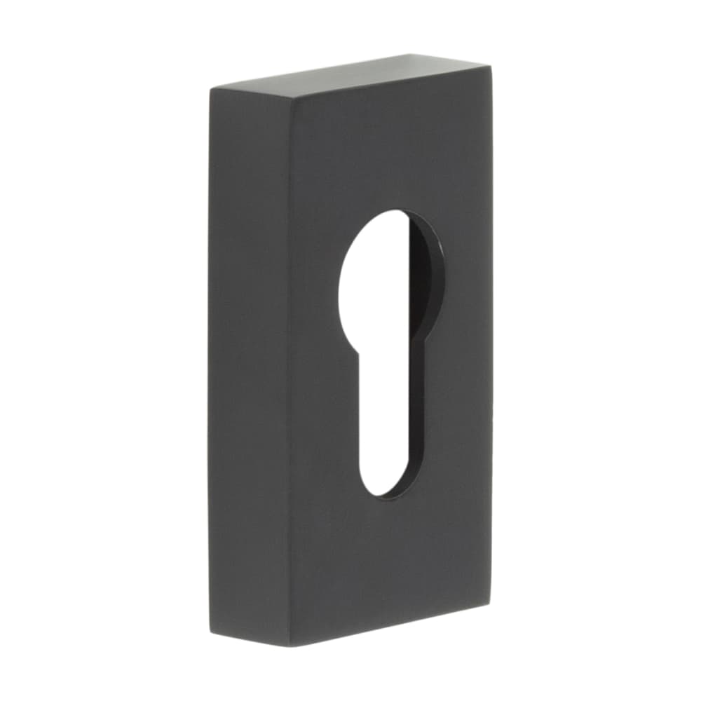Rectangular Escutcheon CRES by Frelan Rectangular Escutcheon - 65 x 35mm - Euro - Black ...