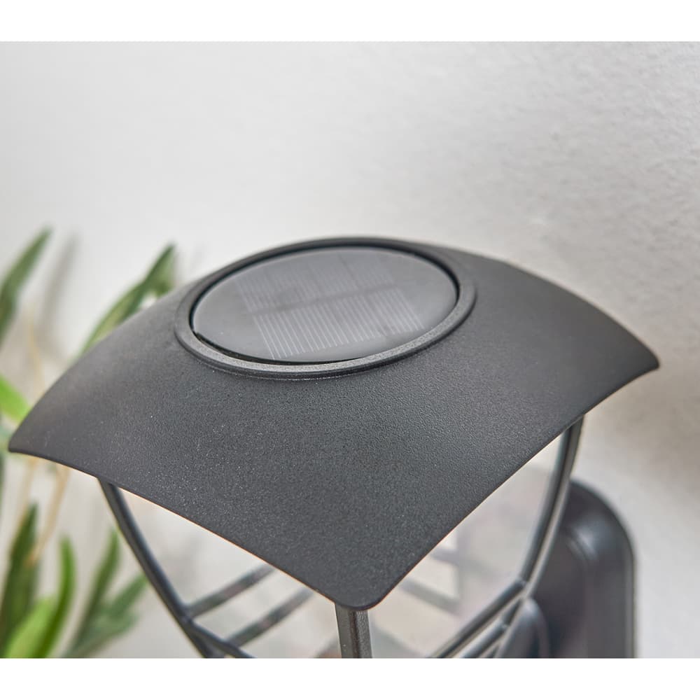 Forum Zink Cadeby LED Solar Outdoor Wall Lantern Light - IP44 - 3000K Warm White - Black 