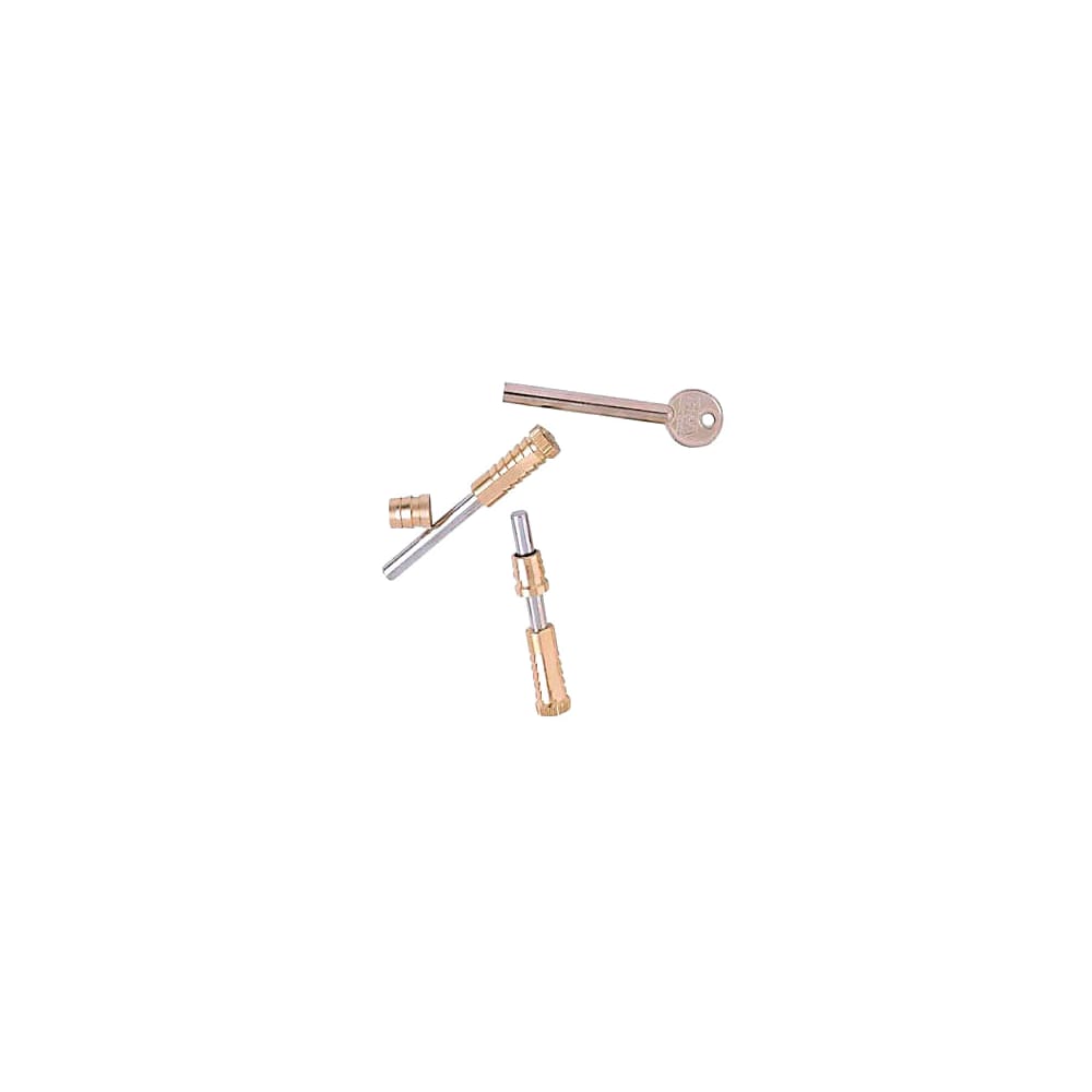 ERA Vertical Sliding Sash Screw - Satin Brass - Pack of 2 with 1 Key