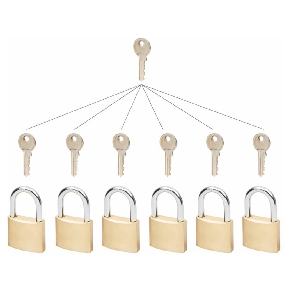 Squire Group of Master Keyed Padlocks - 40mm Body - 24 x 23mm Shackle - Brass - Pack of 12