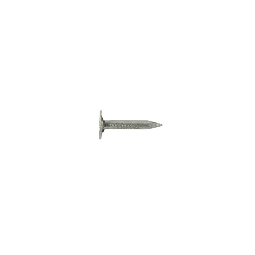 TIMCO Extra Large Head Clout Nails - Galvanised - 40 X 3.00 - 2.5kg - Fast Fixings Online - View #5