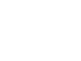 Backcheck schematics