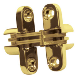 Altro Concealed Hinge - 117 x 25mm - Polished Brass - Pair