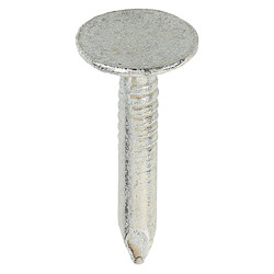 TIMCO Galvanised ELH Clout Nail - 3.0 x 20mm - 1kg Pack