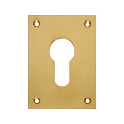 Souber Jumbo Escutcheon - 65.5 x 47.6mm - Euro - Polished Brass