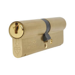 ERA 1 Star 6 Pin Kitemarked 100mm Euro Double Cylinder - 50 + 50mm - Pol Brass - Keyed to Differ