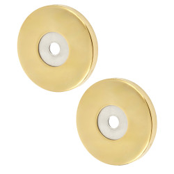 Hampstead Rose Set for 19mm Door Pull Handles - 52 x 6mm - PVD Brass