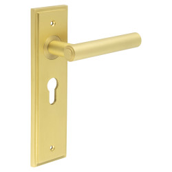 Burlington by Frelan Satin Brass Fire Rated Euro Lock Door Handles - Richmond - 200 x 55mm