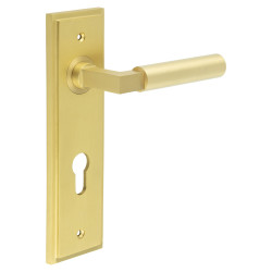 Burlington by Frelan Satin Brass Fire Rated DIN Euro Lock Door Handles - Westminster - 200 x 55mm