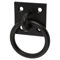 Ring on Plate - 8mm Diameter - Black