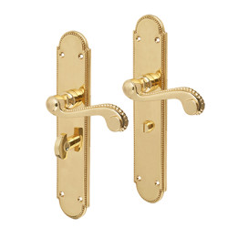 Carlisle Brass Polished Brass Georgian Bathroom Door Handles - Long Plate - Chesham Range - 249 x 50mm