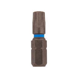 Reisser Torsion Impact Driver Bits - Torx - T30 - 25mm Length - Pack of 2