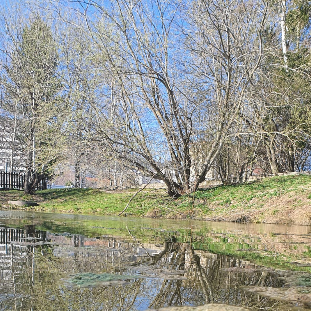 Reflets du silence — imagem 2