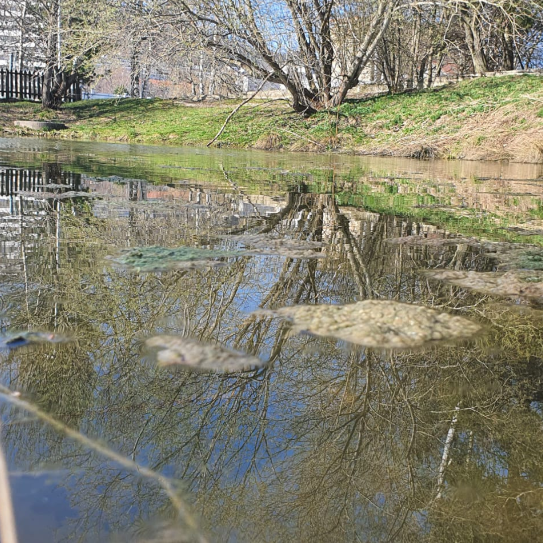 Reflets du silence — imagem 3