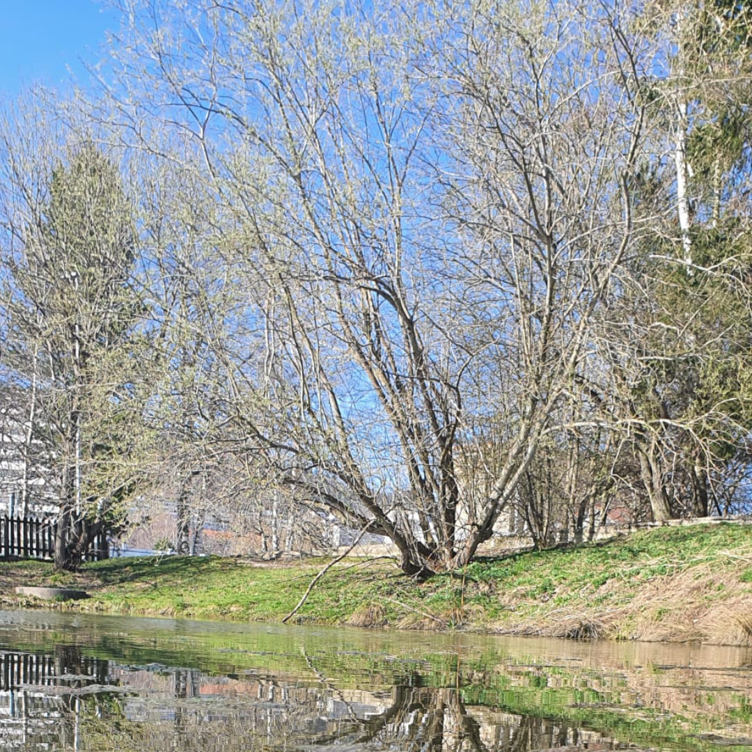 Reflets du silence — imagem 4