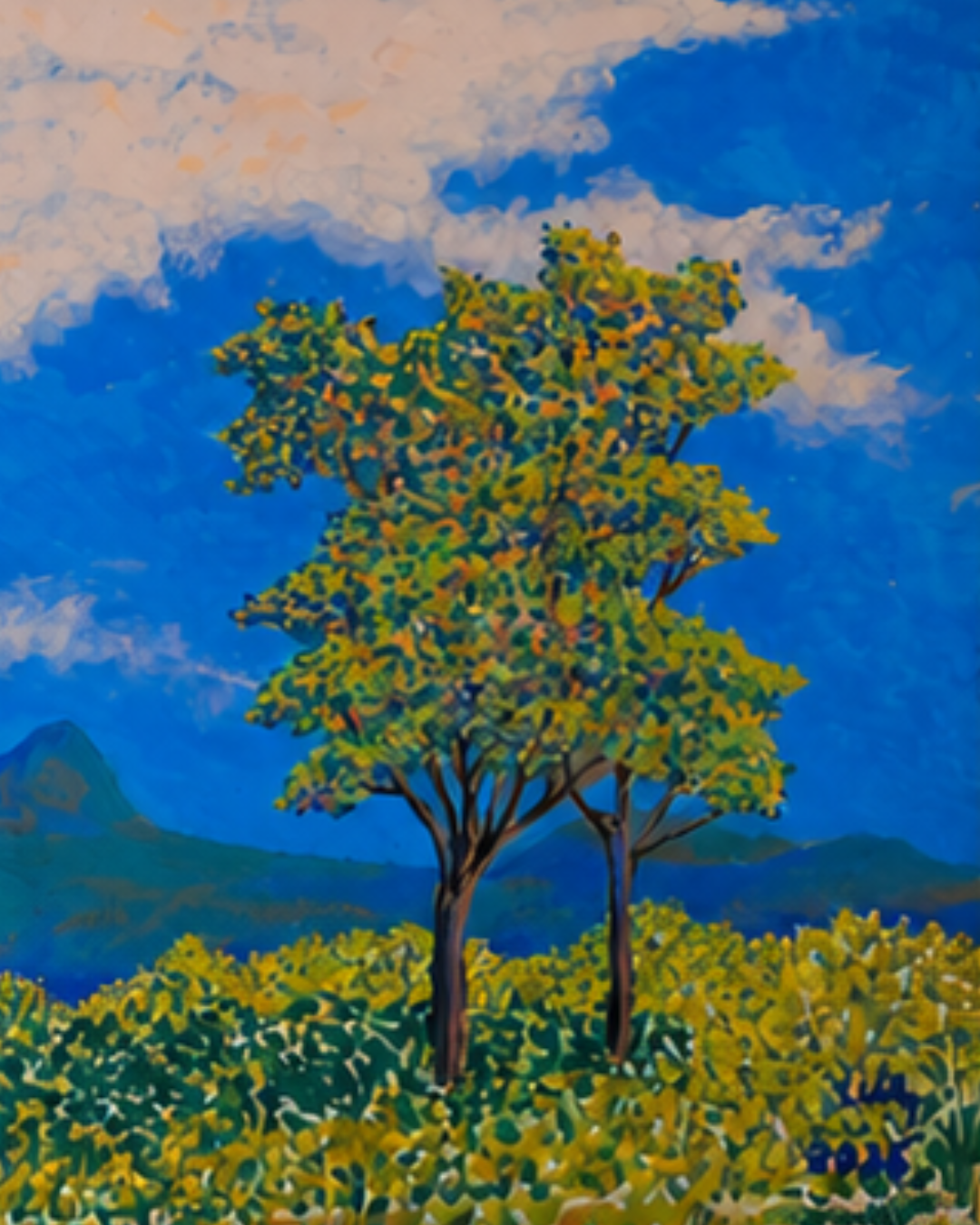 Nuvens Errantes — imagem 4