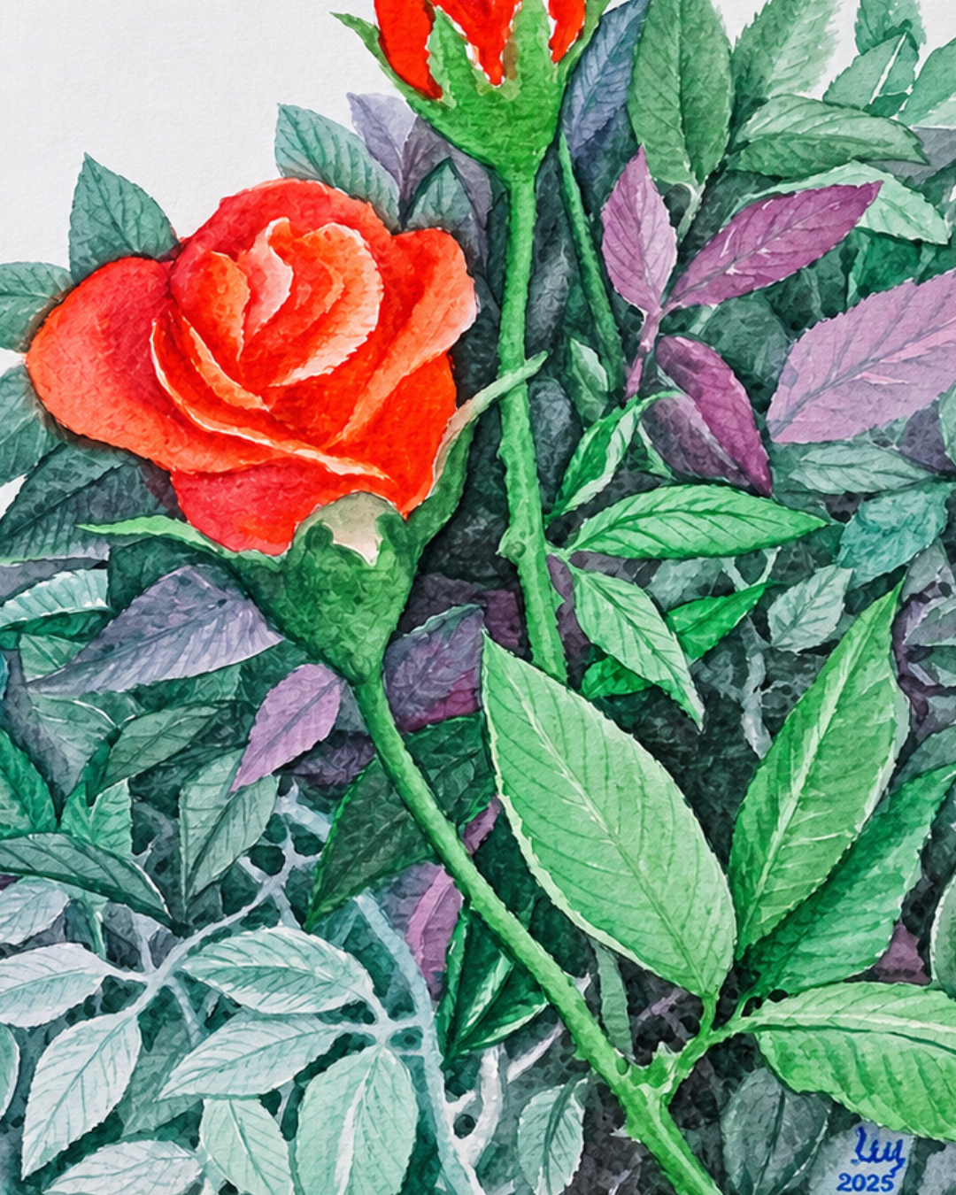 Rosas no jardim — imagem 4