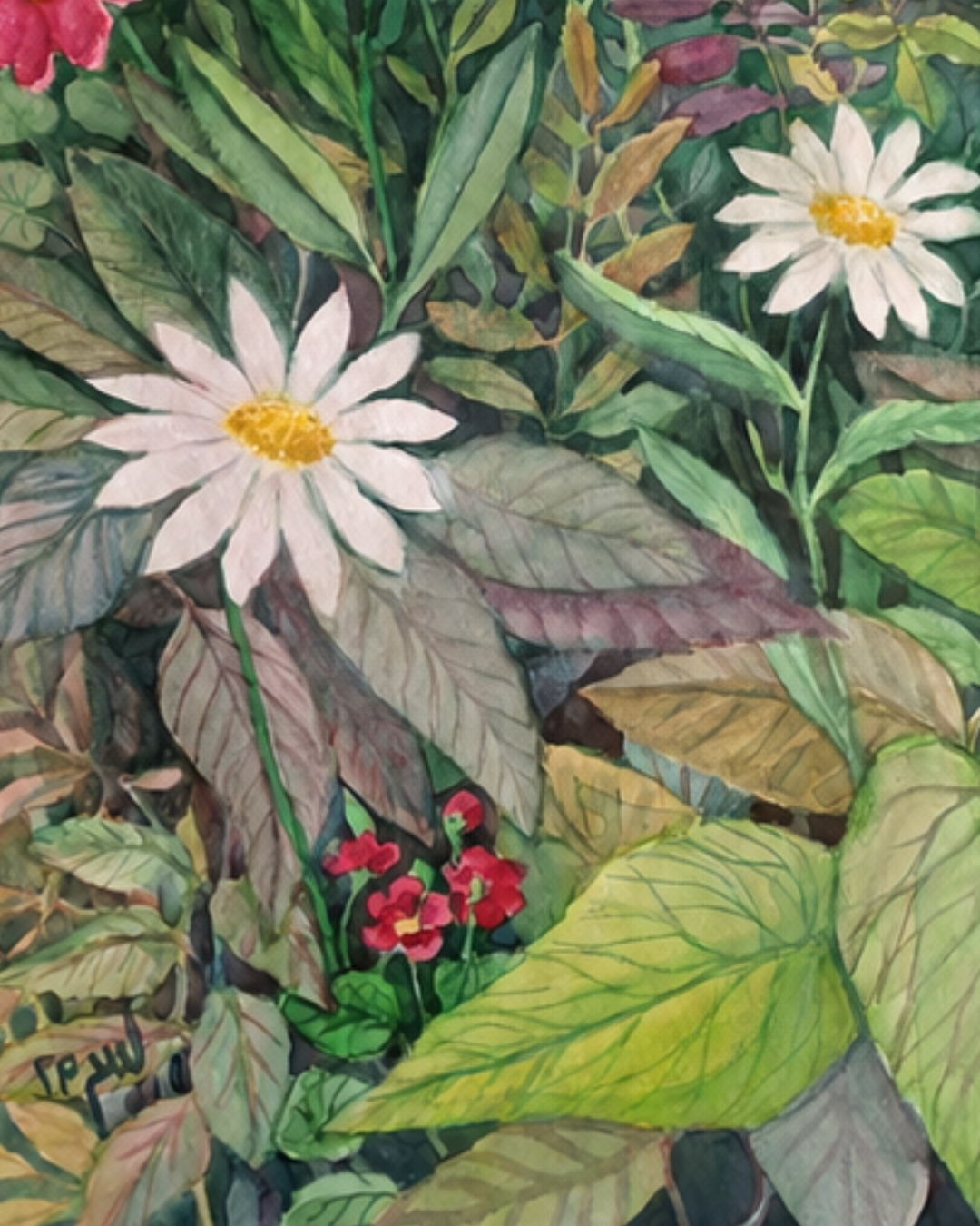 Jardim Sonhado — imagem 4