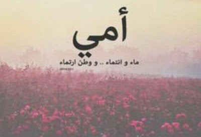 Said Dhaouedi