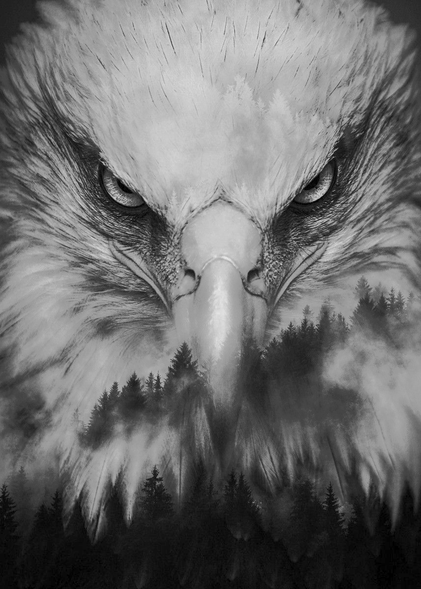 The Regenerated Eagle