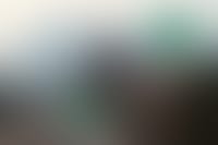 Virtual DOM Basics