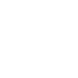 FreeCustom.Email favicon