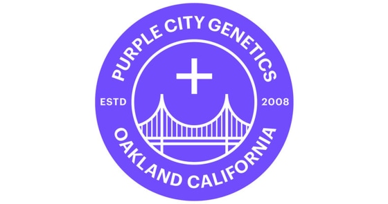 Purple City Genetics - Gush Mints - Clone