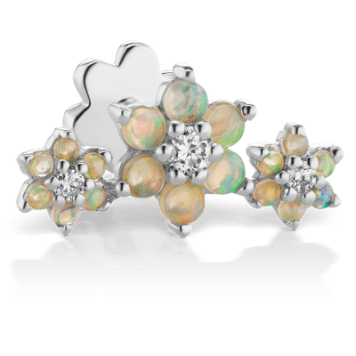 Maria 2025 tash garland