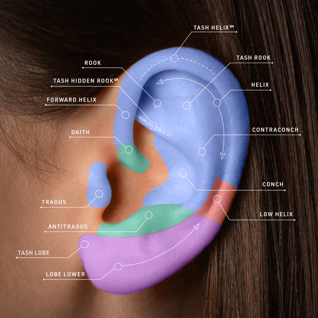 Ear piercing placements with helix, conch, daith, rook, tragus, lobe, Tash Rook piercings