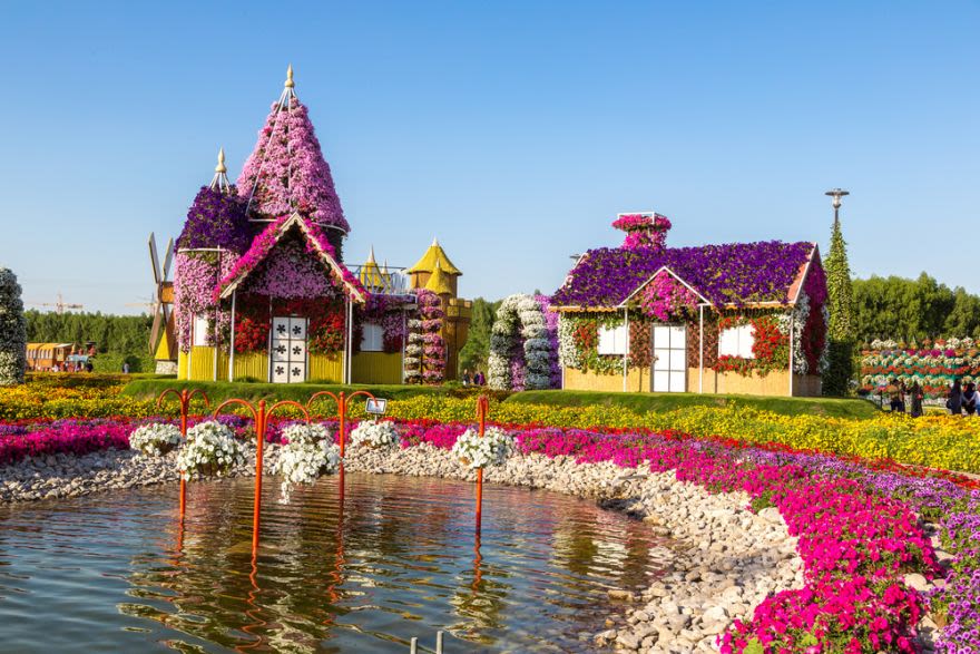 Miracle Garden Dubai