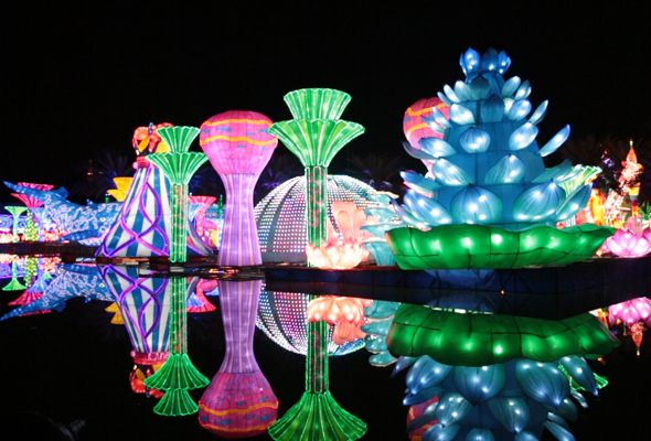 Glow Garden