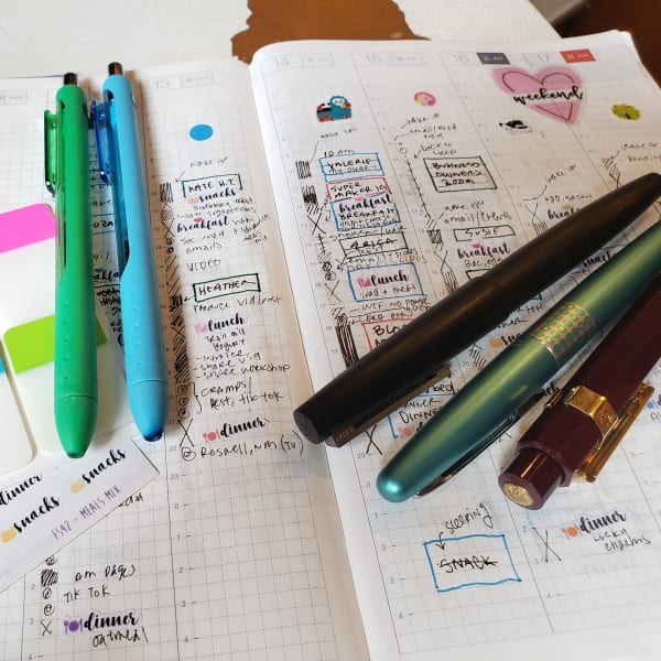 Image for Planning for Mental Health, Goal Setting and a Sense of Safety