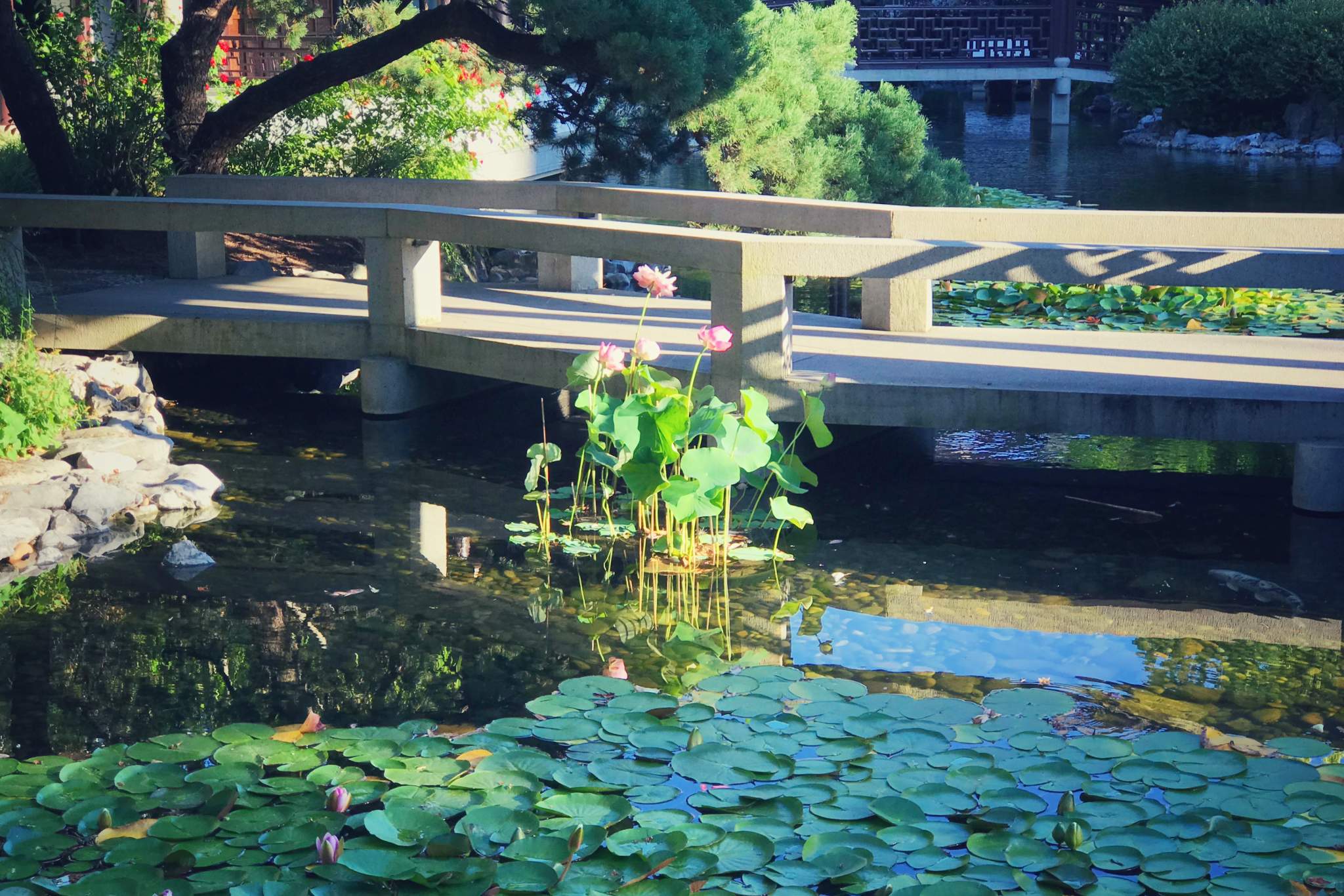 Photo associated with the resource