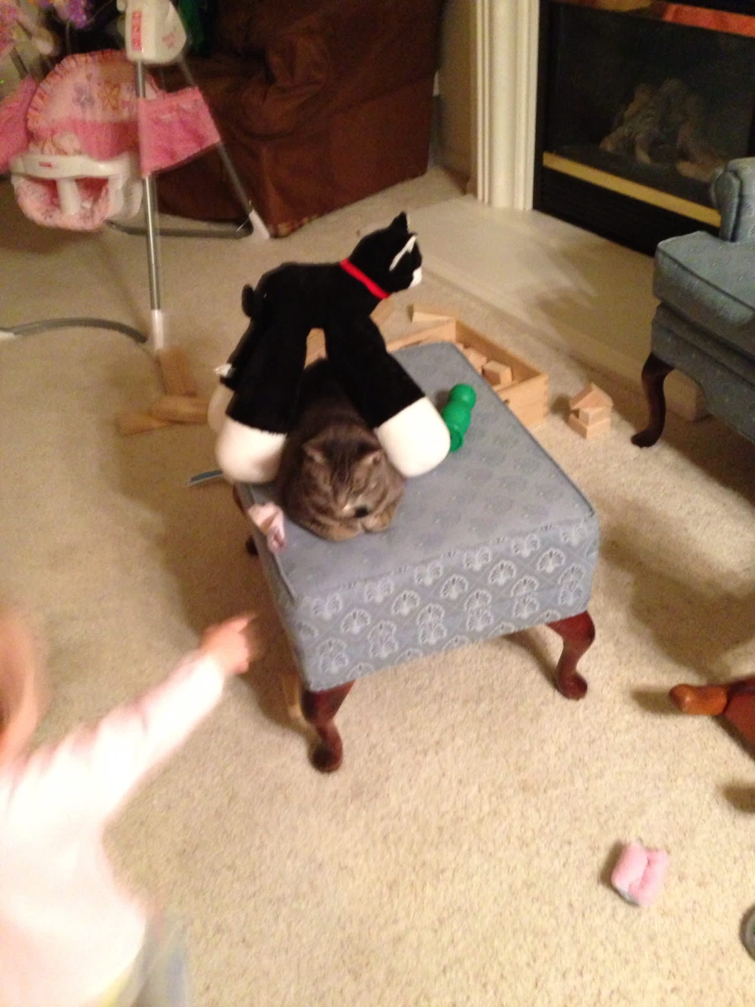 Photo associated with the resource