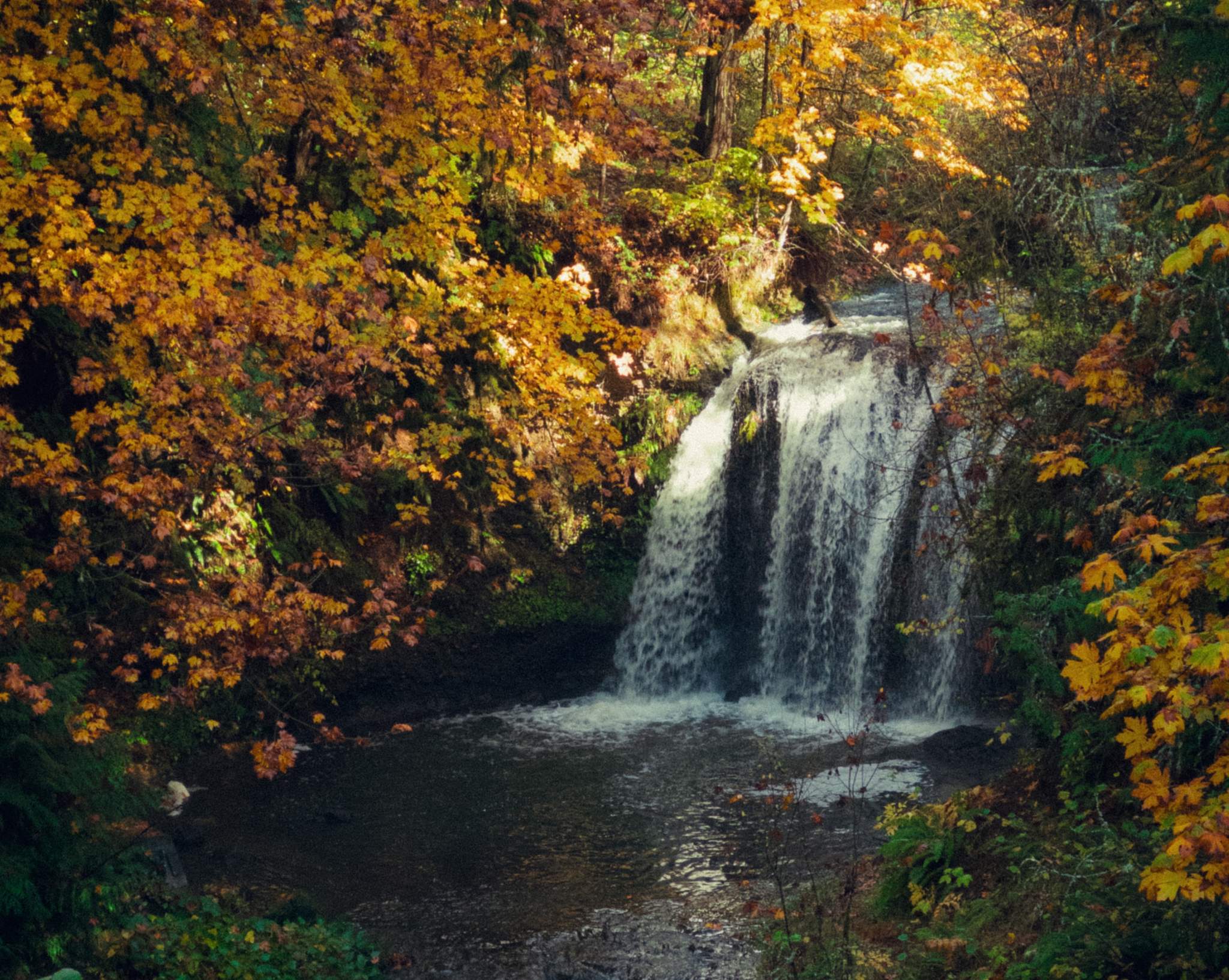 Photo associated with the resource