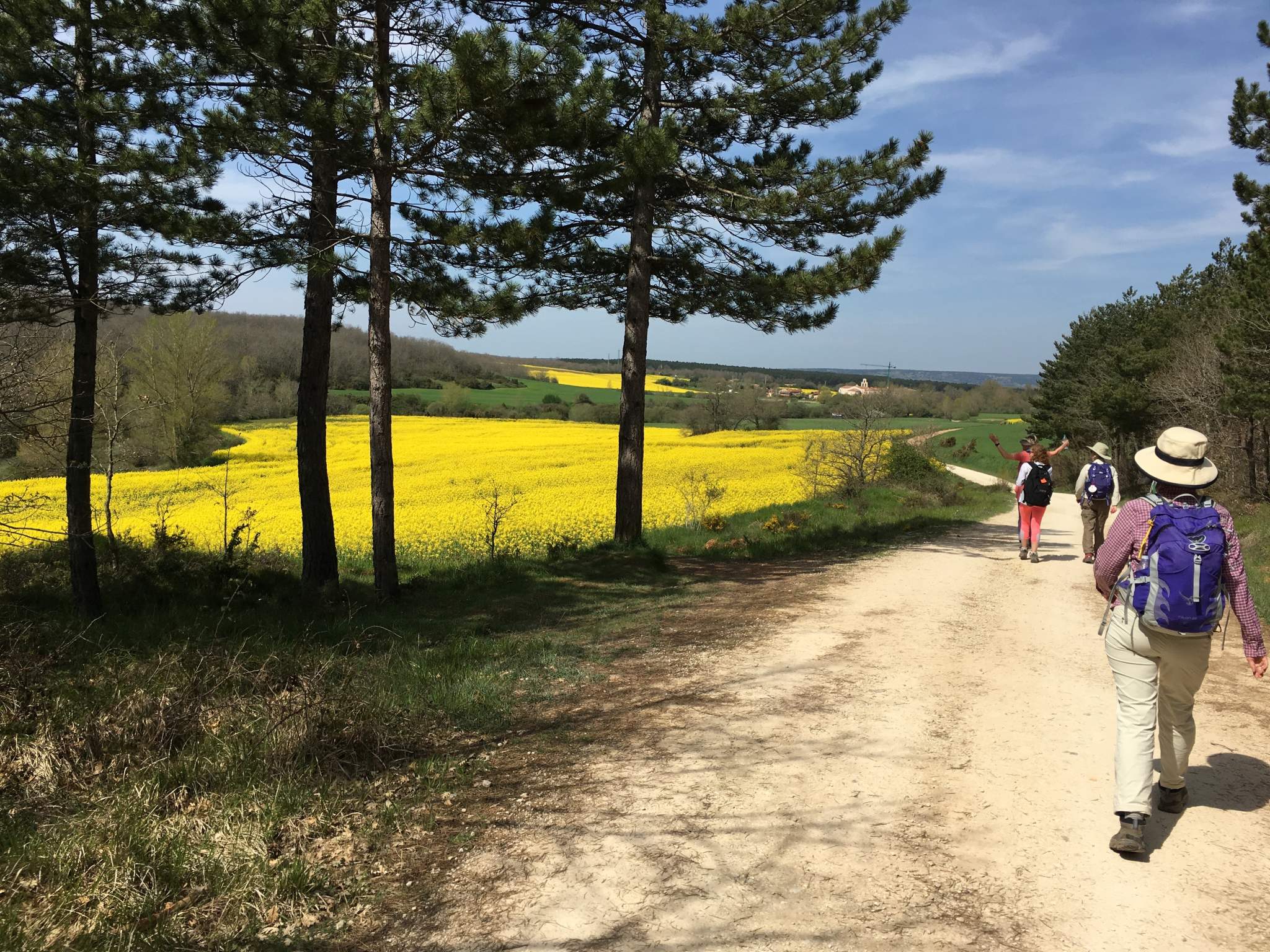 The Camino de Santiago