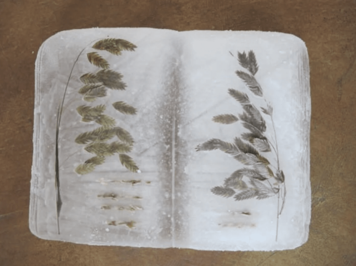 [object Object],[object Object],[object Object]