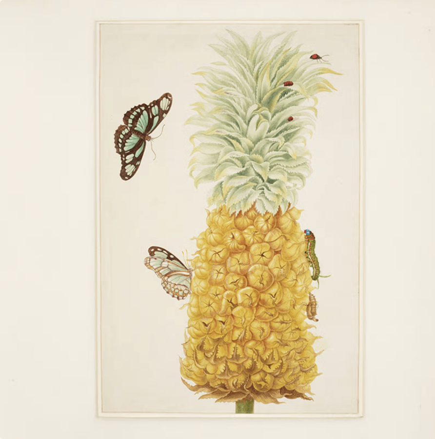 [object Object],[object Object],[object Object],[object Object],[object Object],[object Object],[object Object],[object Object],[object Object]