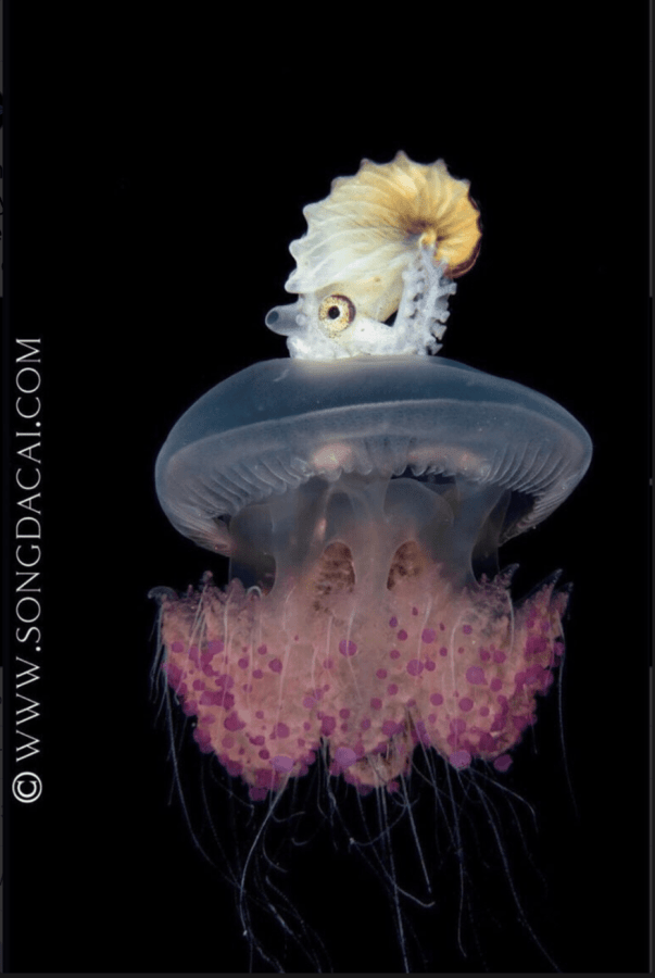 [object Object],[object Object]