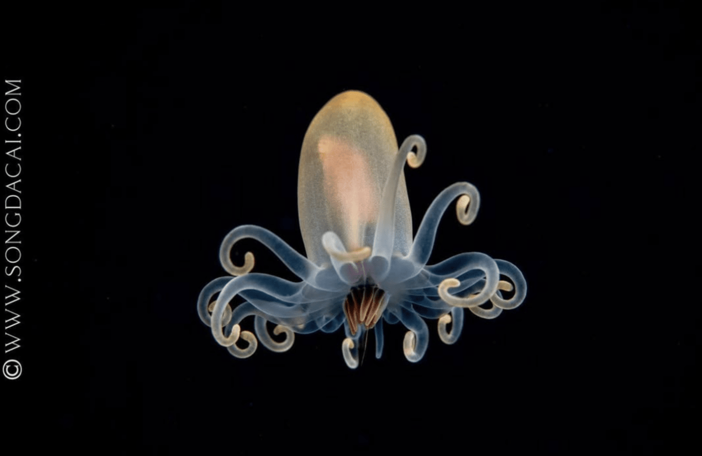 [object Object],[object Object]