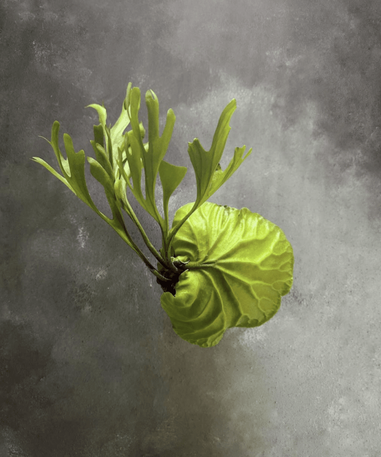 [object Object],[object Object]