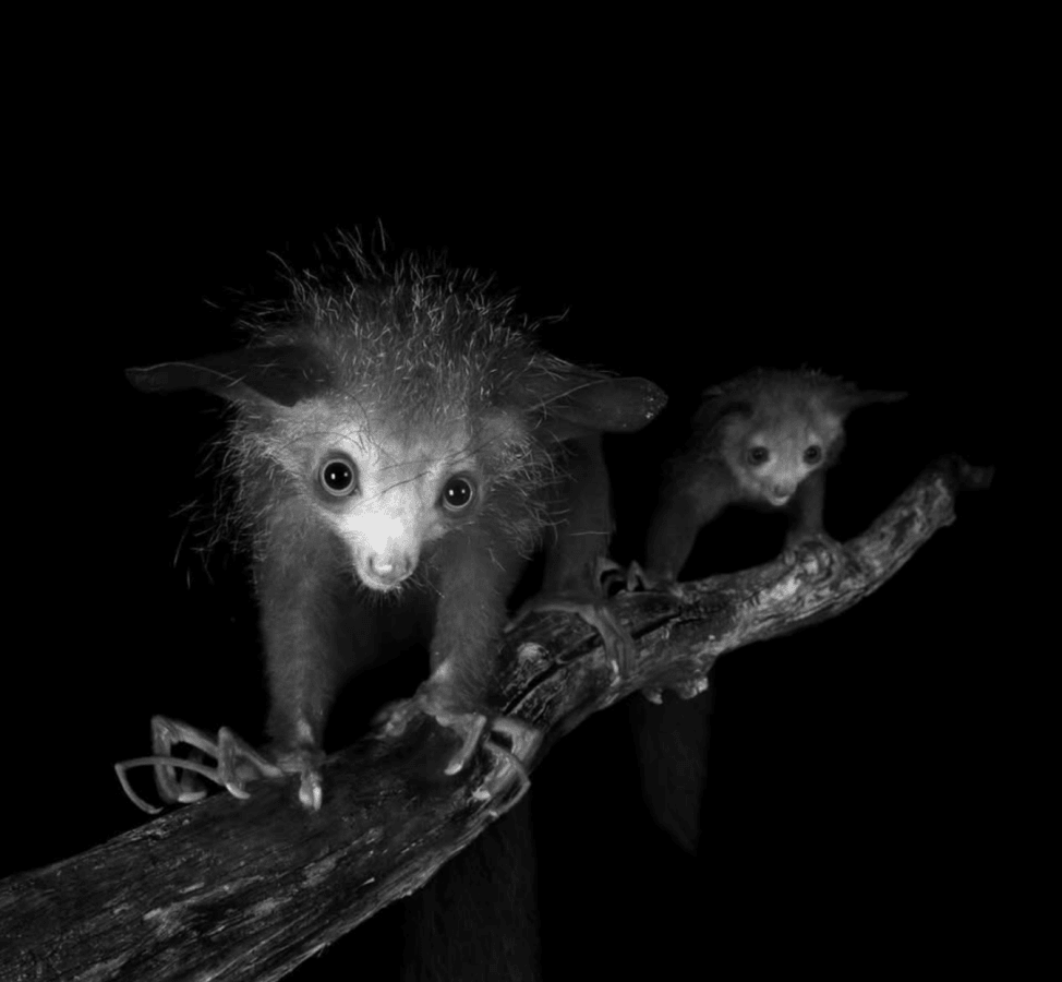 [object Object],[object Object]