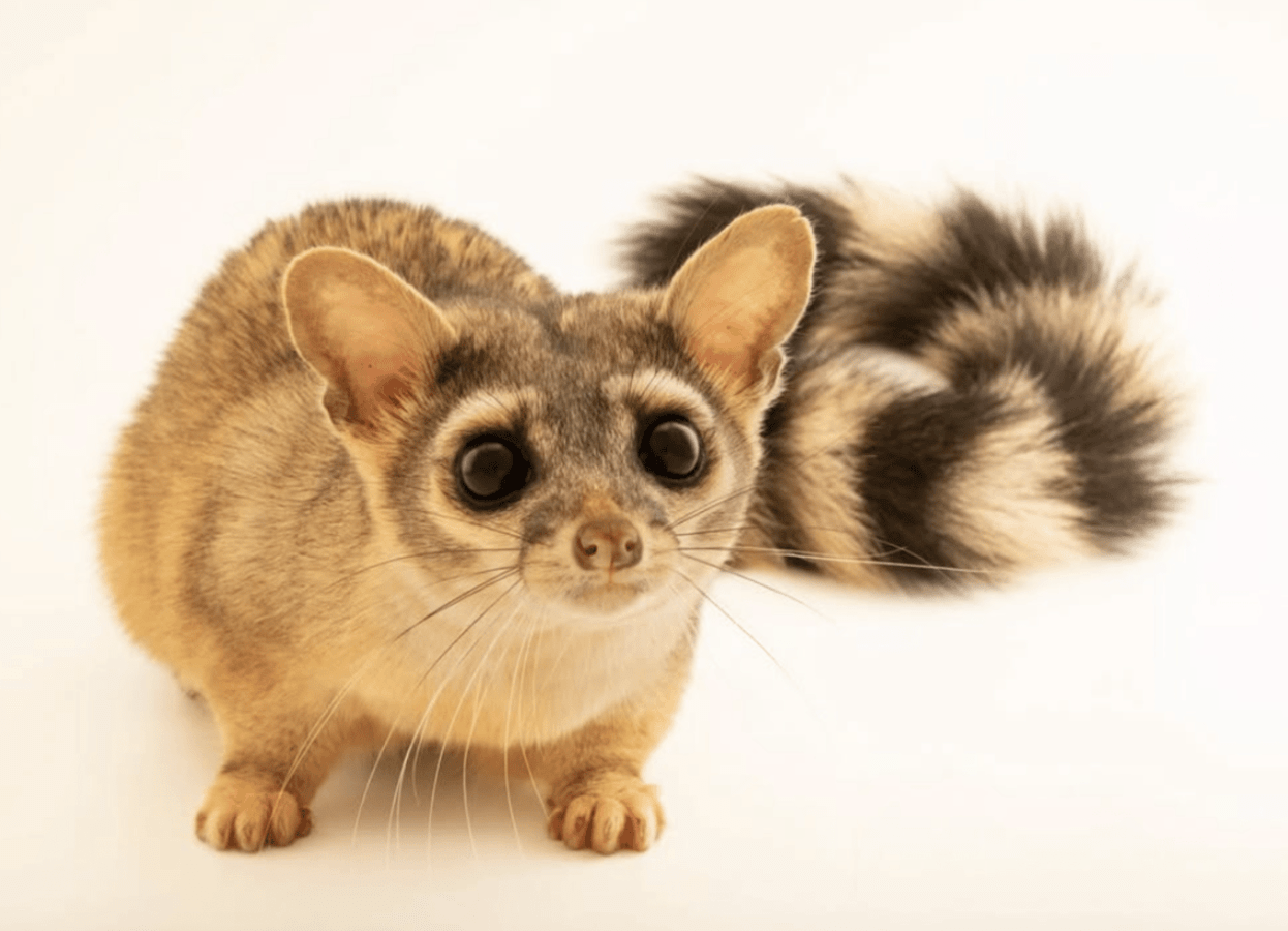 [object Object],[object Object],[object Object]