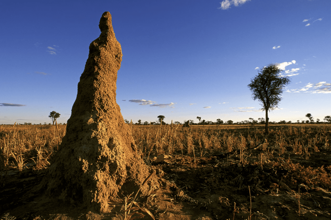 [object Object],[object Object],[object Object]