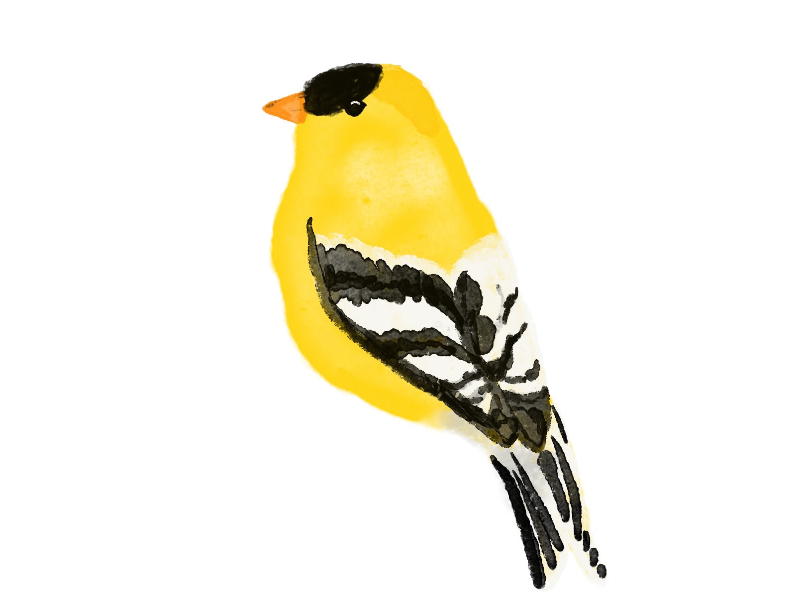 Digital drawing of an American Goldfinch