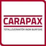 Carapax