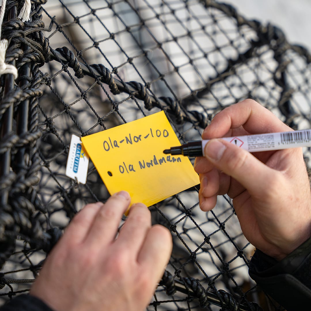 Merking av teiner med fiskerimerket og en god vannfast tusj